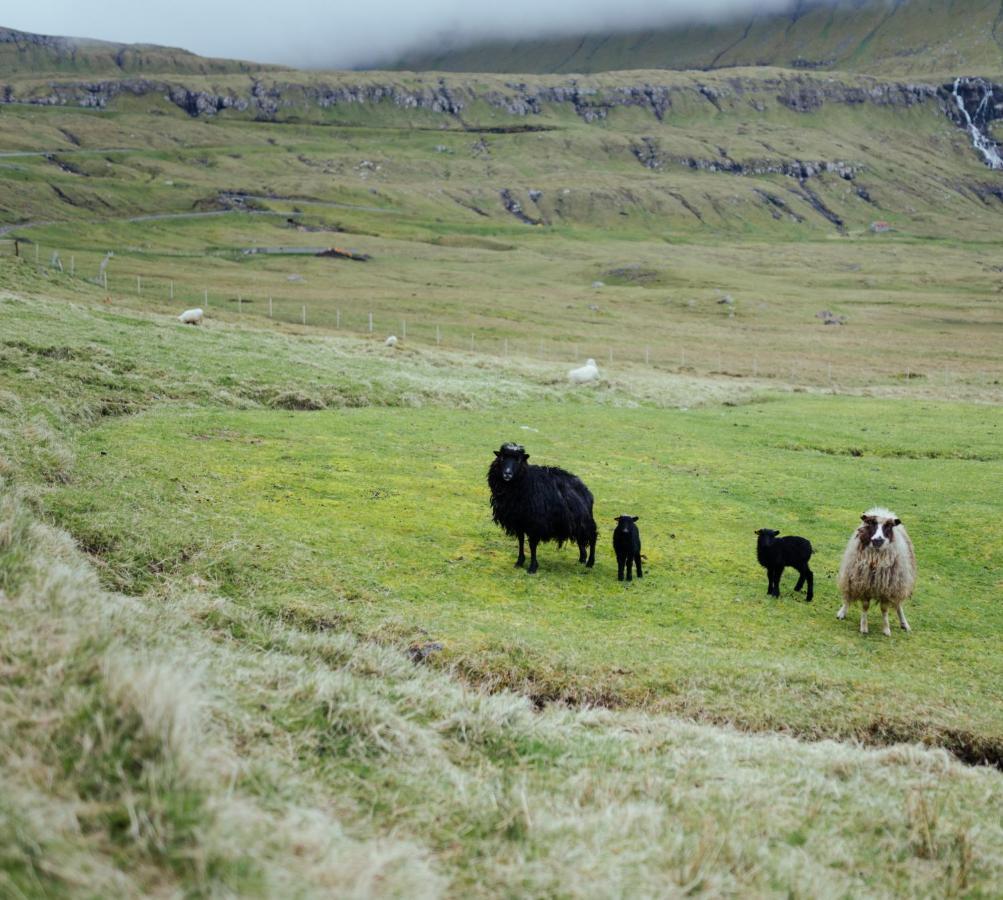 Authentic Faroese House / Unique Location / Nature Hellurnar 外观 照片